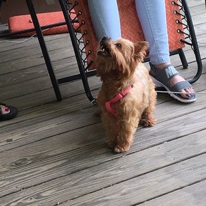 Meet your Posher, Melanie